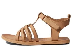 Blowfish Malibu Kids Drizzle-T (Toddler/Little Kids) -Blowfish Malibu 71GRYXgsn3L